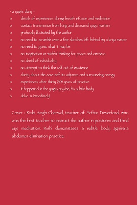 yogaInvision10BACKCover420h